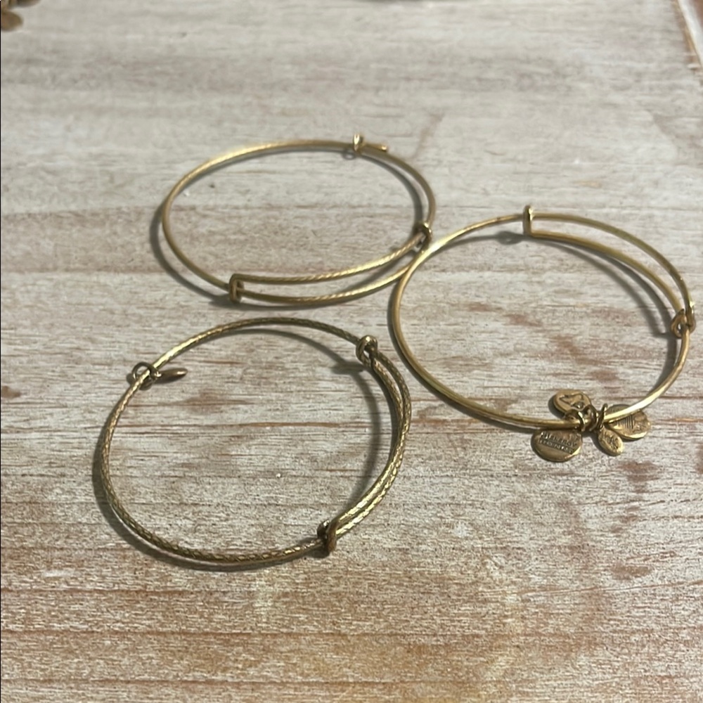 Alex and Ani Gold Minimalist Charm Bracelets